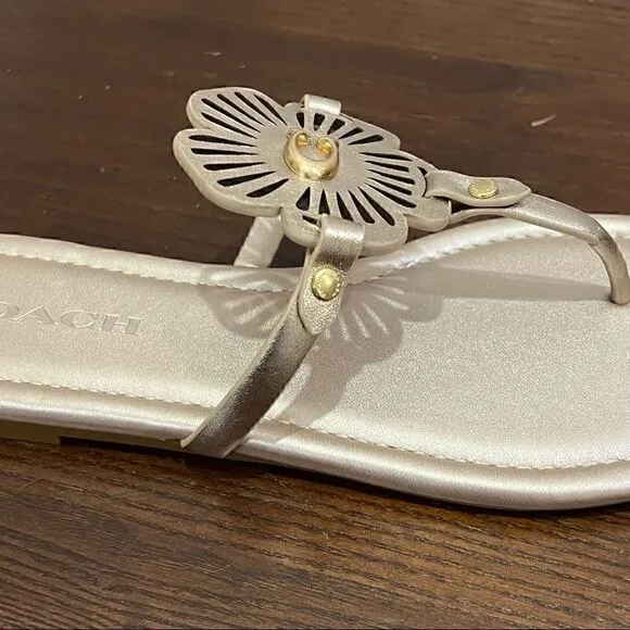 10 COACH JULIA SANDALS metallic gold or champagne Bnib