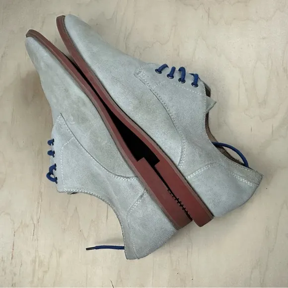 ALDO Light Gray Suede Shoes with Blue Laces