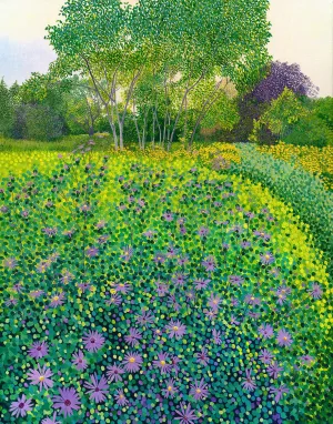 Asters at Wisley