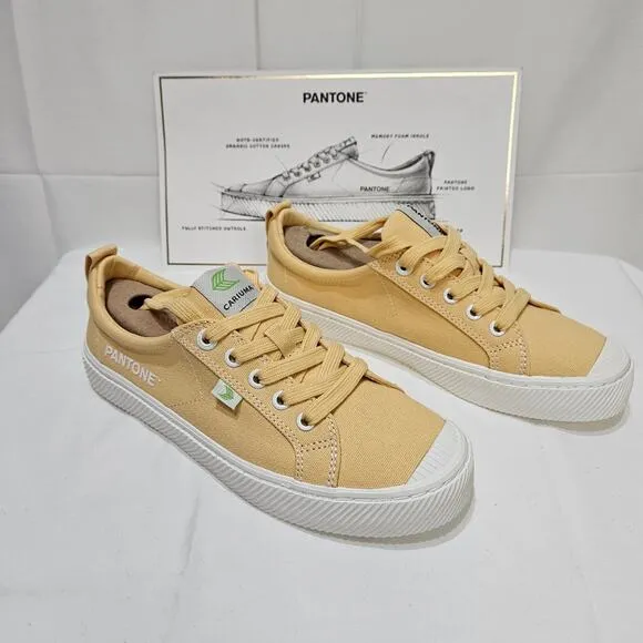 Cariuma OCA Pantone Low Cornsilk Canvas Sneaker 8W 6.5M