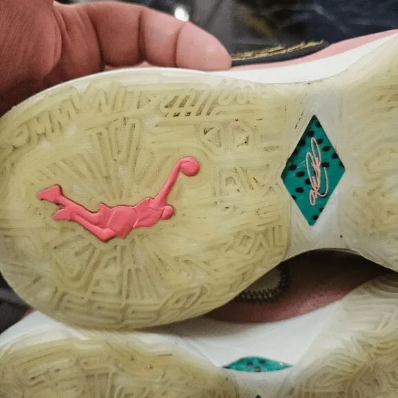 Lebron Nike sneakers shoes Pink diamond collection