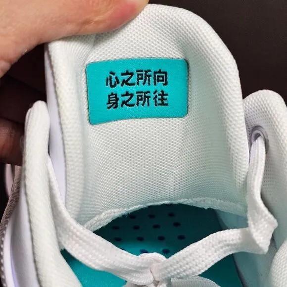 Nike Air Jordan XXXVI 36 Low PF Guo Ailun Women's 10.5 Silver Jade DM9032-130