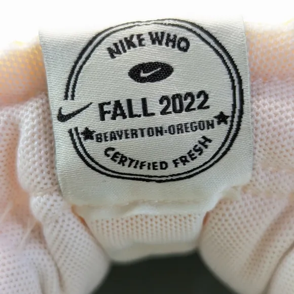 Nike Blazer Low'77 Premium Certified Fresh Sail Enamel DO9799-100 Casual shoes