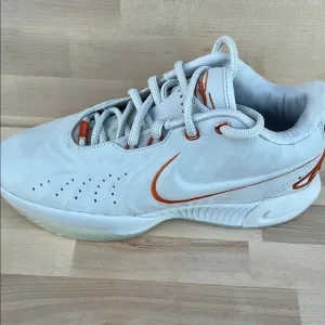 Nike Lebrons Men's sneakers size 7.5