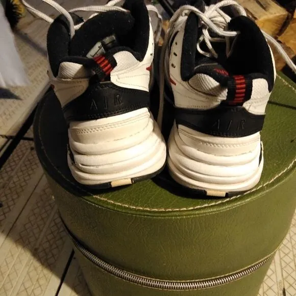 Nike Air Monarch shoes