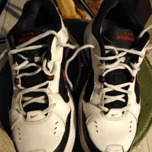 Nike Air Monarch shoes