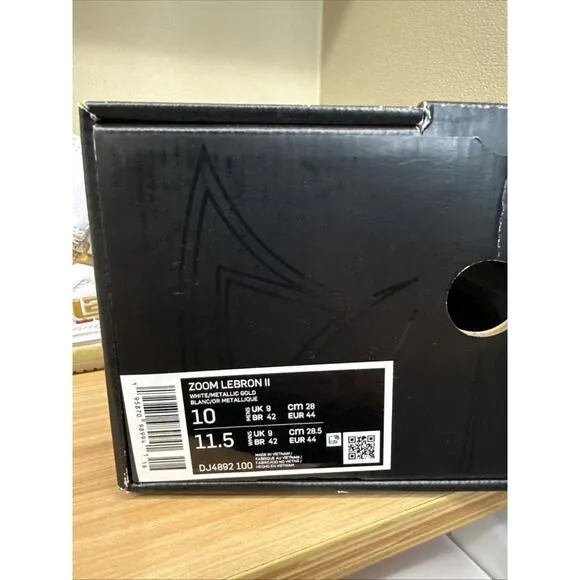 Size 10 - Nike Zoom Lebron 2 Retro 2022 Maccabi