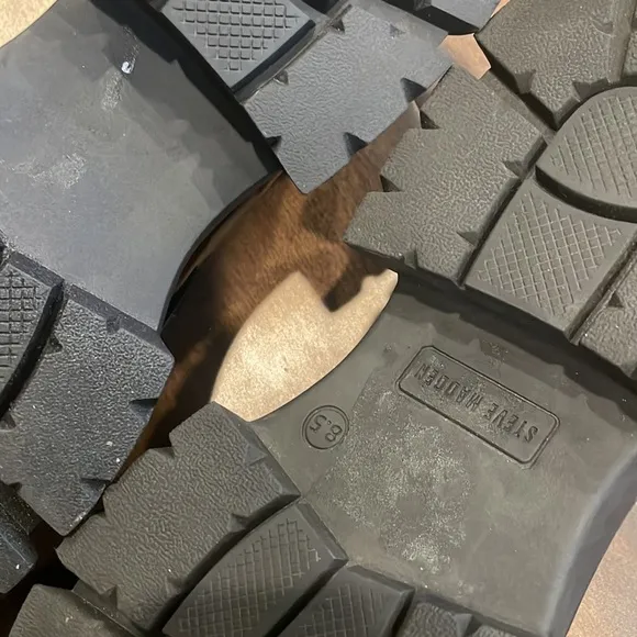 STEVE MADDEN  'Loafer Trifecta' NWOT