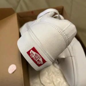 Vans White Sneakers