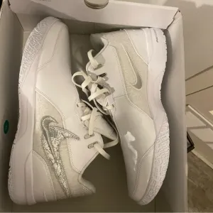 ZM Lebron NXXXT GEN AMPD men size 15